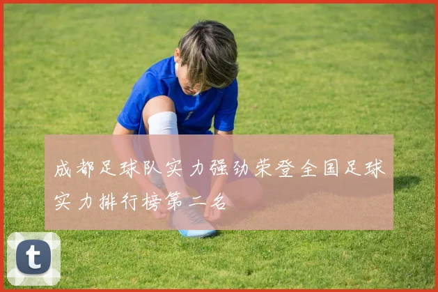 成都足球队实力强劲荣登全国足球实力排行榜第二名