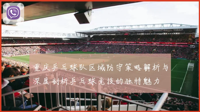 重庆乒乓球队区域防守策略解析与深度剖析乒乓球竞技的独特魅力