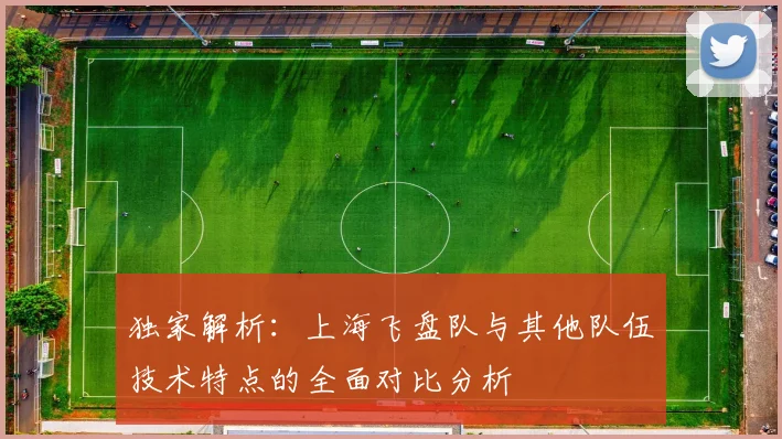 独家解析：上海飞盘队与其他队伍技术特点的全面对比分析